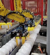Robotic Pick-and-Place