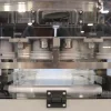 Dual-Lane Screw Denesting to Support Consistent Downstream Filling